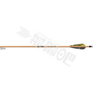 GOLD TIP ARROW FLETCHED TRADITIONAL XT 碳箭（含羽）