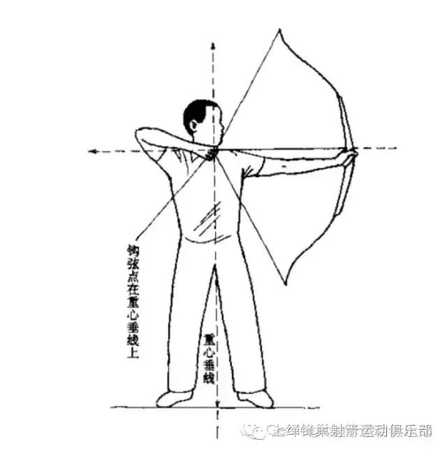 射箭知识-标准射箭姿势